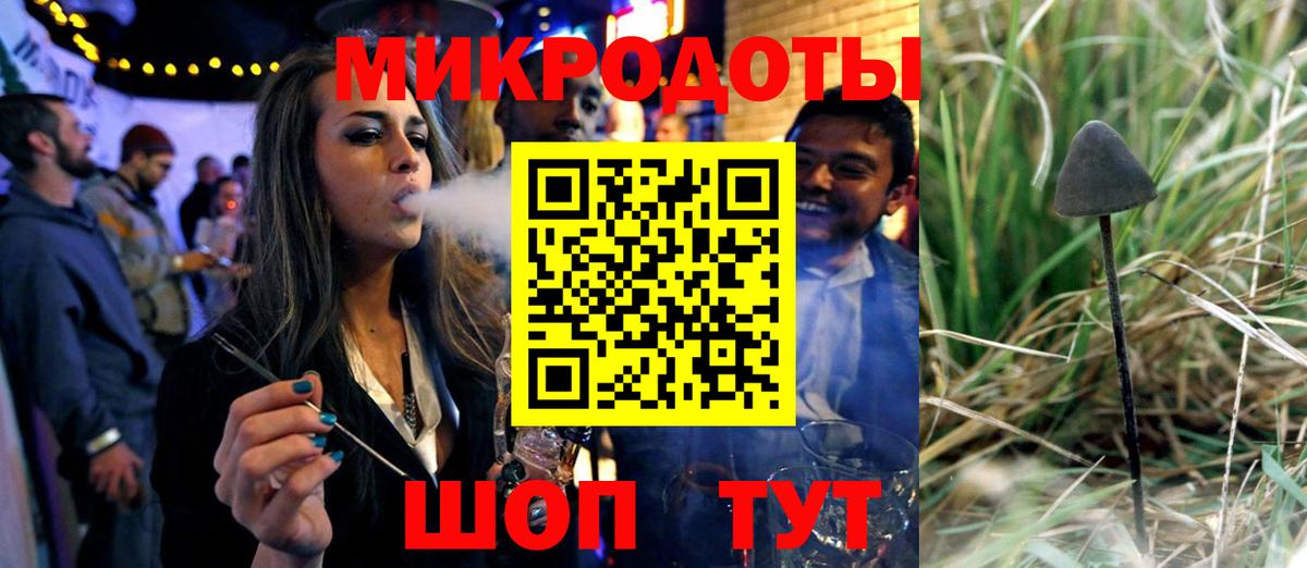 Псилоцибиновые грибы Psilocybine cubensis Златоуст